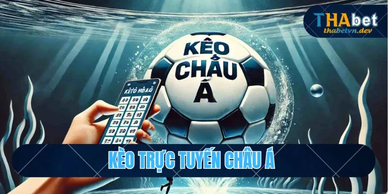 Chia sẻ bí quyết soi kèo bóng đá trực tuyến hiệu quả